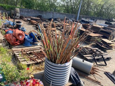 une plante en pot au milieu d'un tas de bois