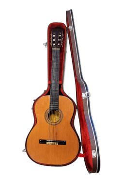 guitar case with a guitar inside and a guitar in the back