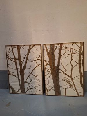 deux photos encadrées représentant des arbres posées sur un sol bleu