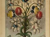 an old print of a bouquet of flowers in a frame