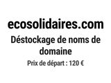 Photo 1/1 du lot
