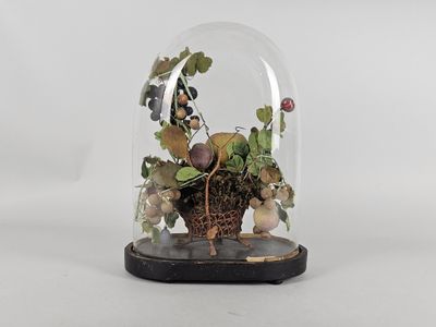 a glass clochet with a plant inside of it