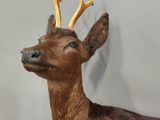 Photo 4/9 du lot
