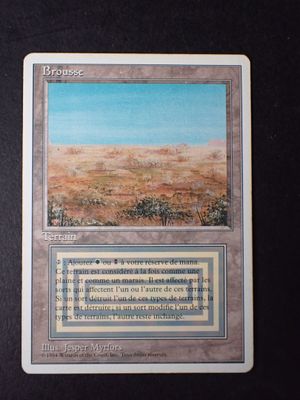 une photo d'une carte illustrée d'un paysage désertique