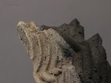 a stone sculpture of a head on top of a table