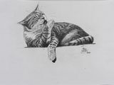 pencil drawing of a cat laying down on the ground with its head on its paw