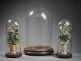 trois cloches en verre contenant des fleurs, posées sur un support en bois