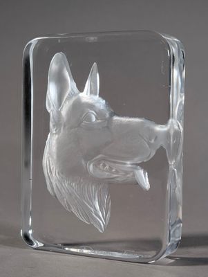 clear glass block with a picture of a dog on it