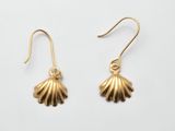 une paire de boucles d'oreilles en forme de coquillage dorées sur fond blanc
