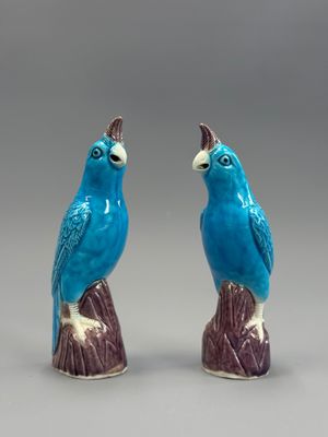 deux oiseaux bleus perchés sur une souche d'arbre