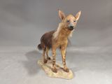 a stuffed animal that is standing on a piece of paper