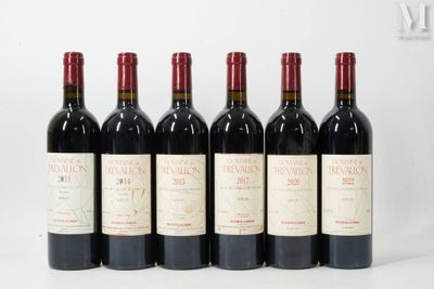six bouteilles de vin rouge alignées sur une surface blanche