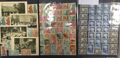 de nombreux timbres exposés sur une table