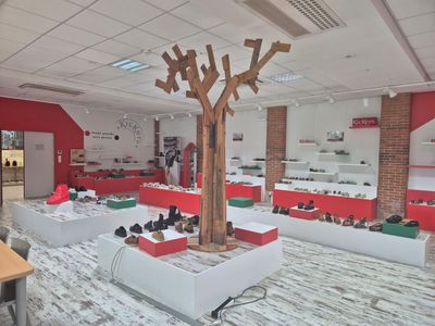 many pairs of shoes on display in a shoe store