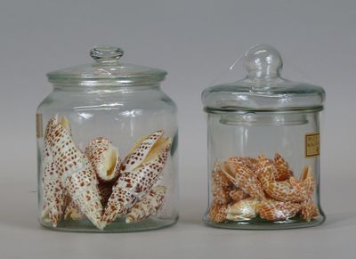 two glass jars with shells inside of them on a table