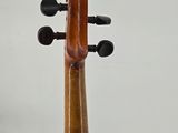 a close up of a violin on a white background