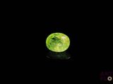 un gros plan d'une pomme verte posée sur une surface noire