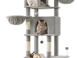 de nombreux chats perchés sur l'arbre à chat