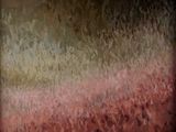 abstract painting of a field of red flowers with a brown background