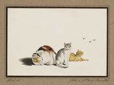 painting of two cats and a catnip on a white background