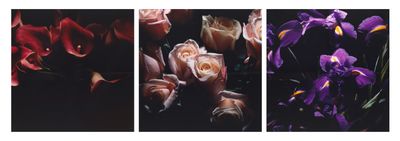 three different pictures of flowers are shown on a black background