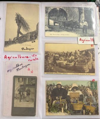 many old photos of people and animals on this page