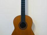 a guitar hanging on a wall in a room