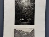une photographie en noir et blanc représentant une forêt et une montagne