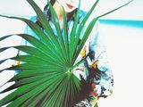 a woman holding a palm leaf on the beach