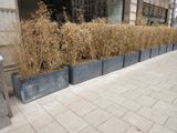 une rangée de jardinières sur le trottoir, à côté d'un immeuble