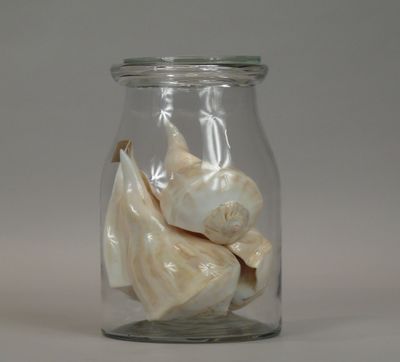 a glass jar with shells inside of it on a table