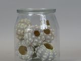 a glass jar filled with sea urchins on a white surface