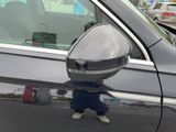 a small child that is standing on the side of a car