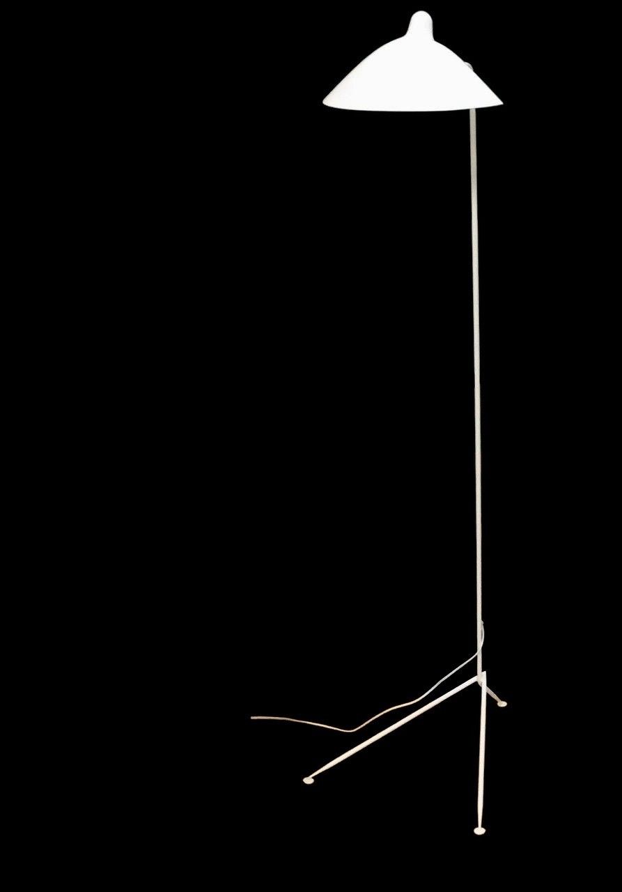 Objets d'art & Curiosités