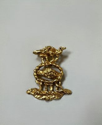 a close up of a gold colored brooch with a snake on it