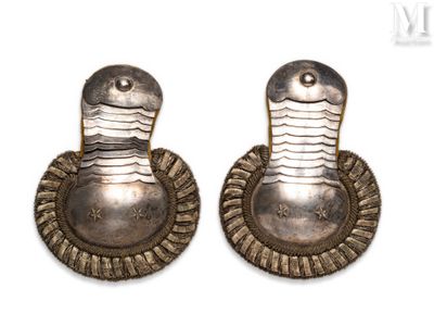 pair of silver earrings with a snake on each side of them