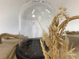 a bird sitting on top of a glass clochet