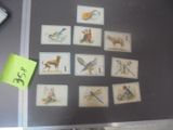 un tableau magnétique sur lequel sont affichées des images d'animaux et d'oiseaux