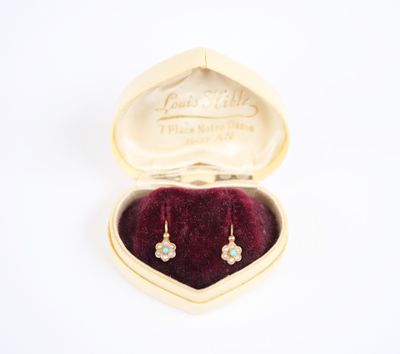 a heart shaped box with a pair of earrings in it