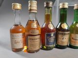 bottles of different types of alcohol are lined up on a table