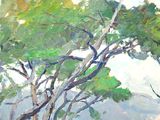 a painting of a group of trees in a field