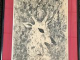 a picture of a giraffe that is in a picture frame