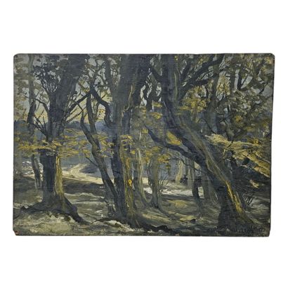 a painting of trees in a wooded area with a river in the background