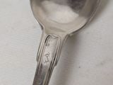 a spoon that has some berries in it on it