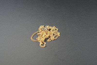 un collier en or orné d'un lion, sur un fond noir