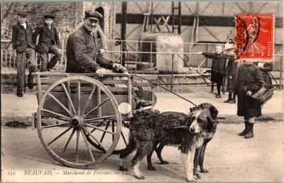 une vieille photo représentant un homme et son chien tirant une charrette
