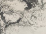 a black and white drawing of a tree in a field