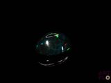 an oplite in the dark with a black background