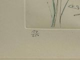a picture of a drawing of a flower on the wall