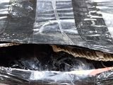 a plastic bag that has some sort of stuff inside of it